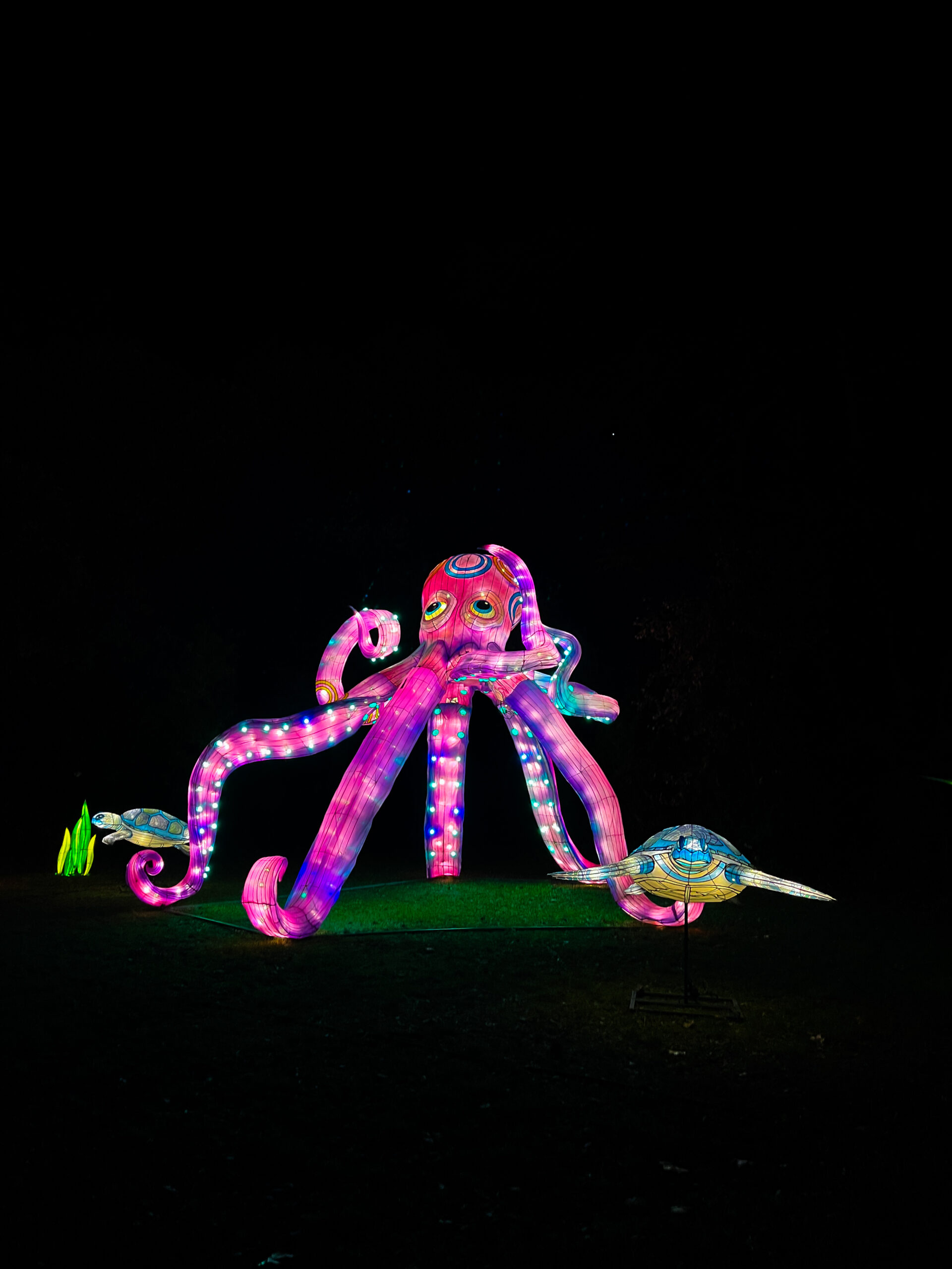 Odyssée Lumineuse _ Château de Flaugergues