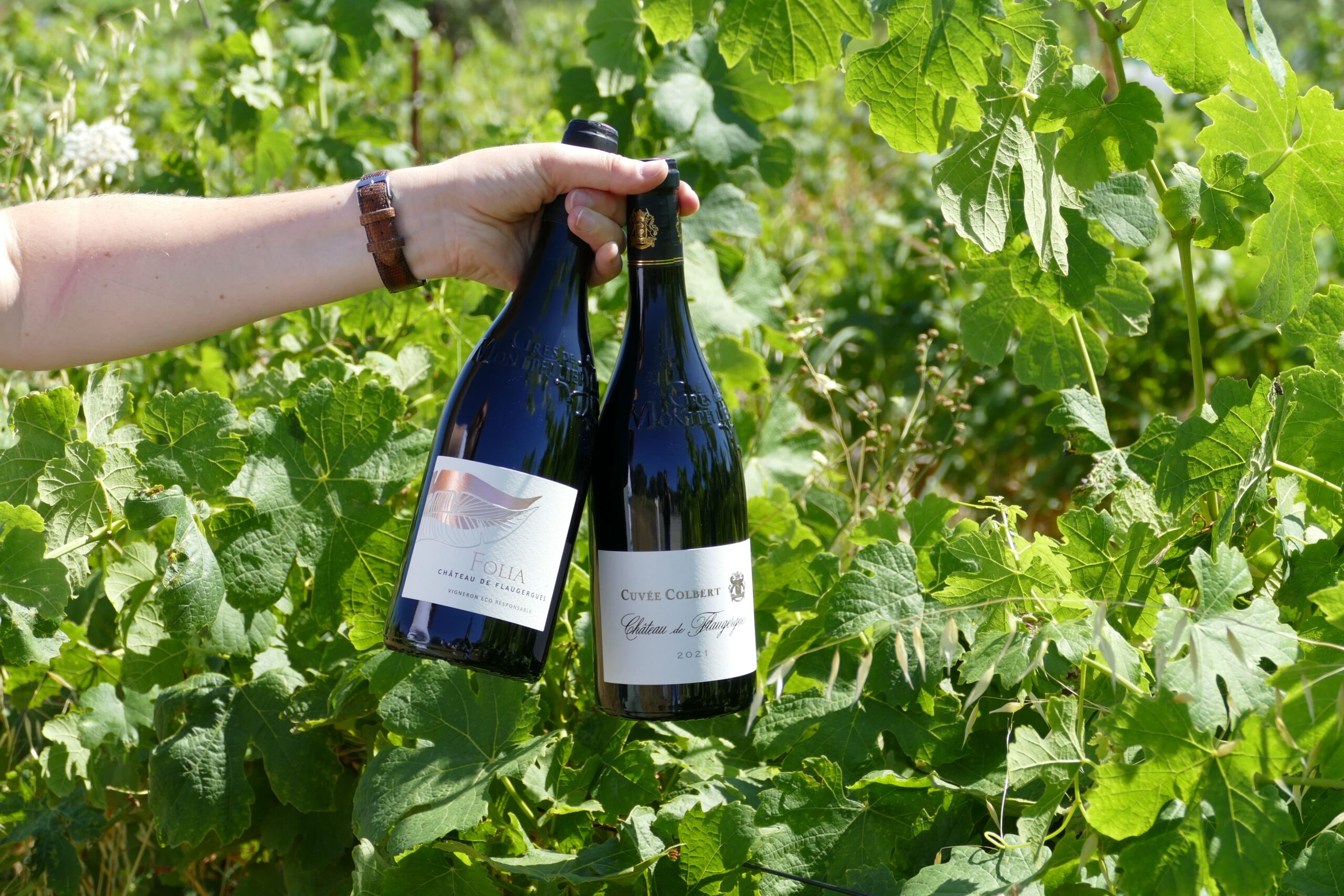 Cuvées Colbert et Folia - Château de Flaugergues