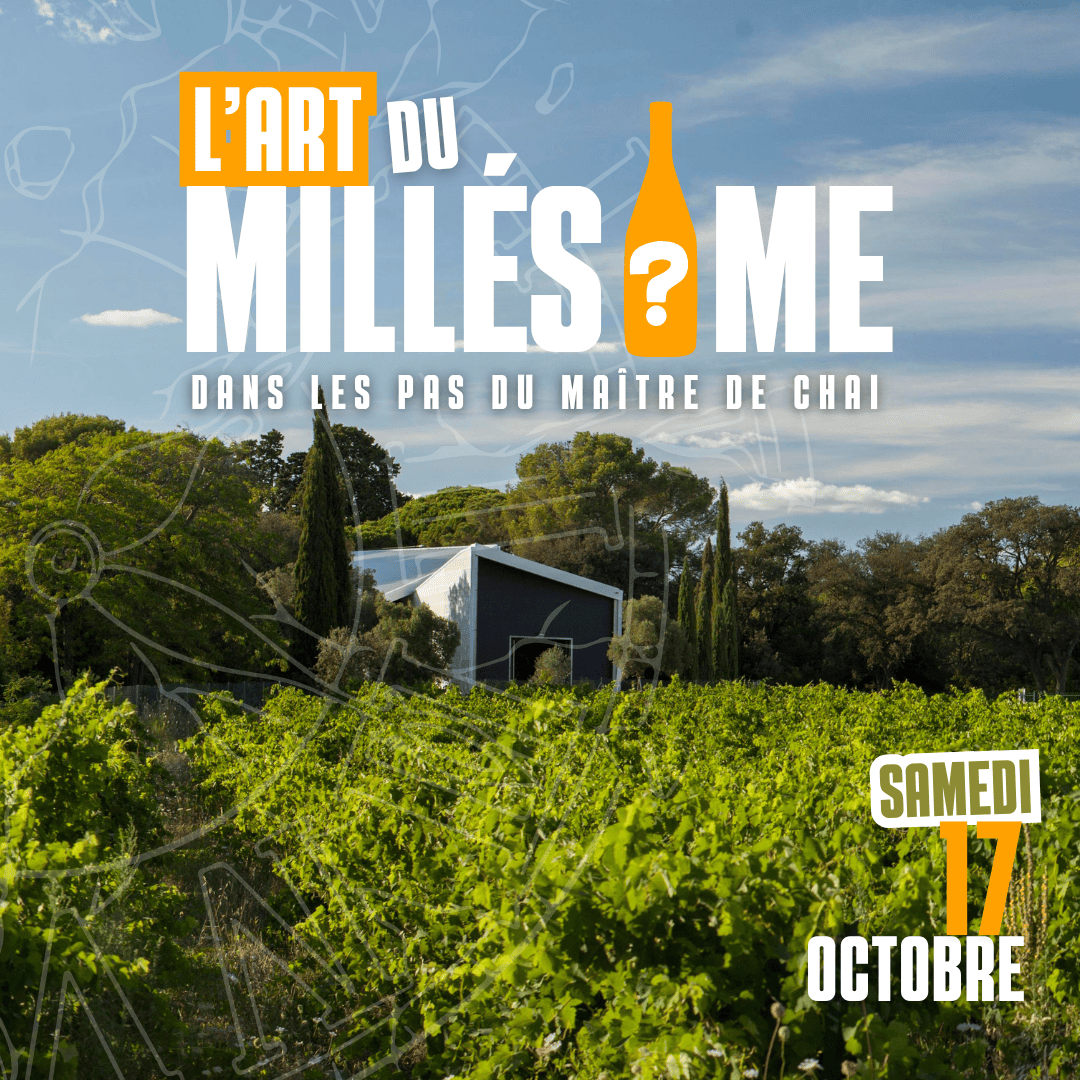 Vignobleenscène26 (1) L'art du Millésime